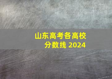 山东高考各高校分数线 2024